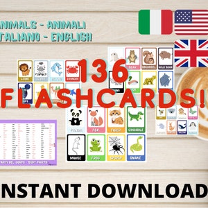 Italian - English ANIMALS flashcards | 136 Cards