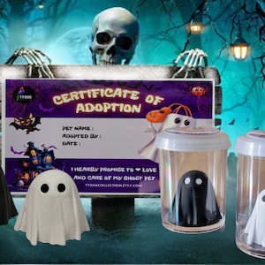 Ghost Pet Desk in a Jar,  Adopt a Ghost, Gift for Ghost Souls , Dark Spirits, Ghost Keychain, Certificate of Adoption , Personalization