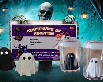 Ghost Pet Desk in a Jar,  Adopt a Ghost, Gift for Ghost Souls , Dark Spirits, Ghost Keychain, Certificate of Adoption , Personalization