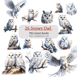 Bundle de cliparts harfang des neiges, harfang des neiges PNG, clipart Nature, clipart oiseau de l'Arctique, scrapbooking, fabrication de cartes, sublimation png, téléchargement numérique