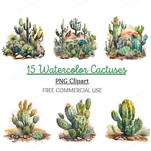 Aquarel Cactus Clipart Bundel, Cactus PNG, Aquarel clipart, Wilde cactus clipart, Floral png, Cactus clipart, Digitale Download