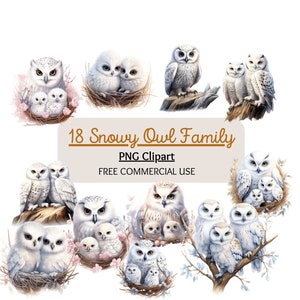 Bundle de clipart famille harfang des neiges, harfang des neiges PNG, clipart Nature, clipart oiseau de l'Arctique, hibou de l'Arctique, scrapbooking, fabrication de cartes, téléchargement numérique