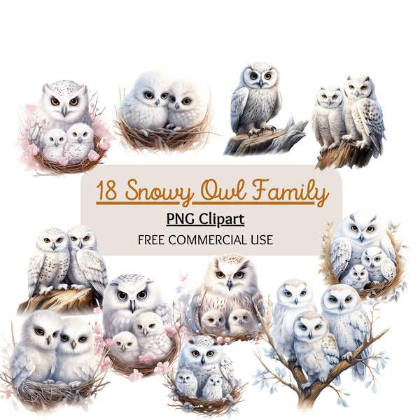 Snowy Owl Family Clipart Bundle, Snow Owl PNG, Nature clipart, Arctic bird clipart, Scrapbooking, Card making, Digital Download