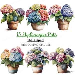 Könnte beinhalten: 15 Aquarell-Illustrationen von Hortensienpflanzen in Terrakotta-Töpfen. Die Hortensien sind in verschiedenen Blautönen, Rosa, Lila und Gelb. Der Text "15 Hydrangea Pots" und "PNG Clipart" wird über den Bildern angezeigt. Der Text "FREE COMMERCIAL USE" wird unter den Bildern angezeigt.