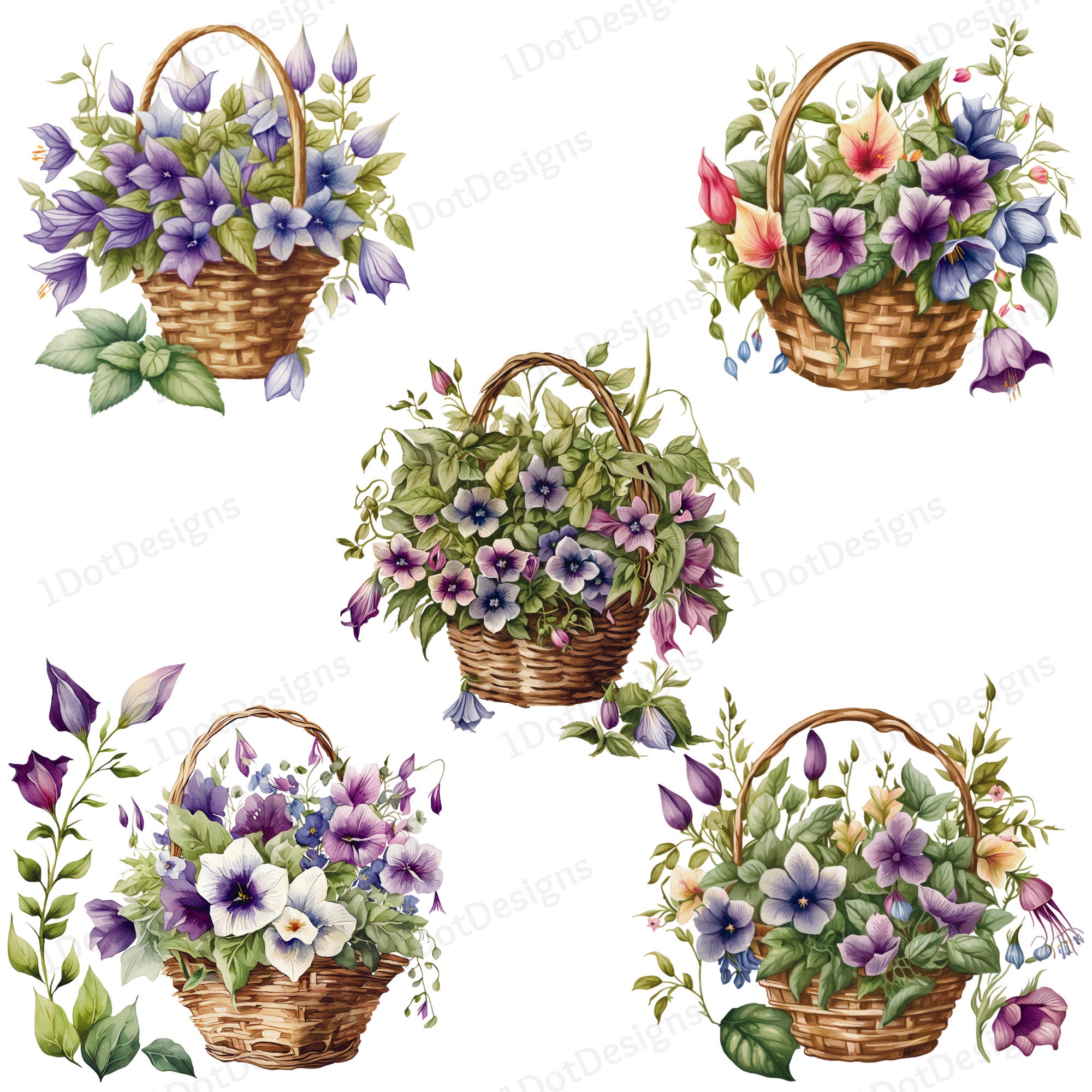 Bellflower Basket Clipart Bundle, Bellflower PNG, Watercolor Clipart