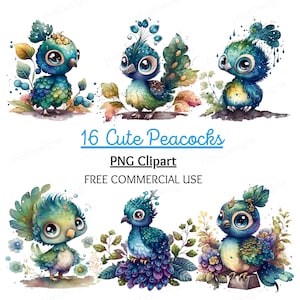 Cute Baby Peacock Clipart Bundle, Peacock PNG, Watercolor clipart, Peacock wall art, bird clipart, bird png, Digital Download