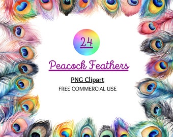 Watercolor Peacock Feather Clipart, Rainbow Colors (Digital Download)