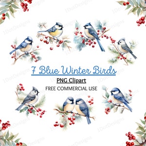 Blauer Vogel Clipart Bundle, Winter PNG, Winter Clipart, Meise Clipart, Vogel Clipart, Vogel PNG, Blauer Vogel PNG, digitaler Download