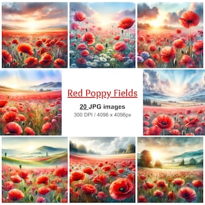 Carta digitale Red Poppy Fields - 20 JPG, Sfondo di papaveri, Carta da campo estiva, Carta di papavero, Diario spazzatura, Scrapbooking, Uso commerciale
