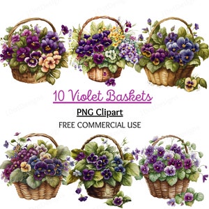 Pacote de clipart de cesta violeta, violetas PNG, clipart aquarela, floral, clipart pastel, cesta floral, flores violetas, download digital