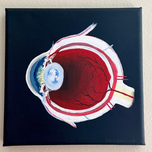 Cross-section of a human eyeball original handmade acrylic painting, anatomy, ophthalmology, optometry