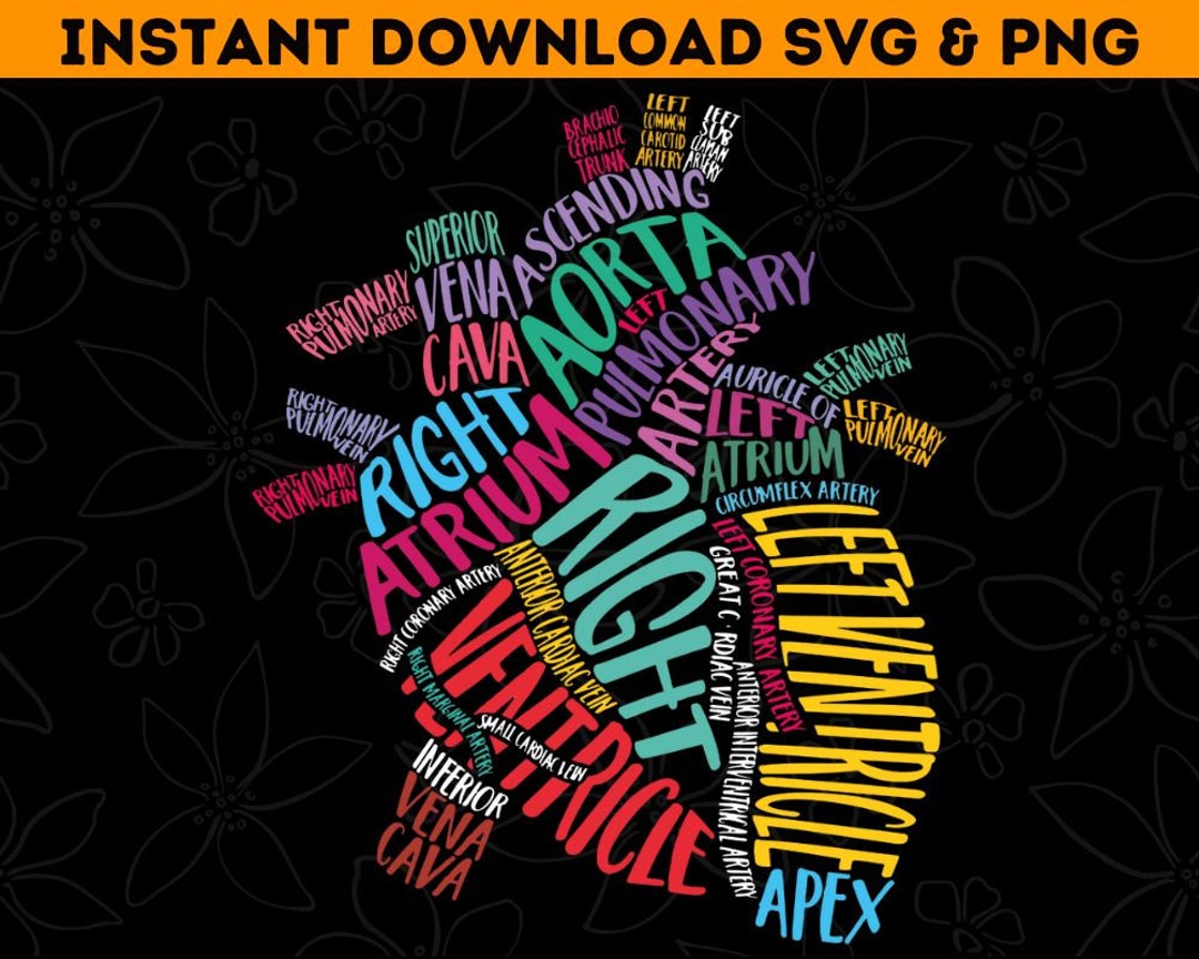Cardiac Heart Png Anatomical Heart Design Cardiac ICU Nurse SVG