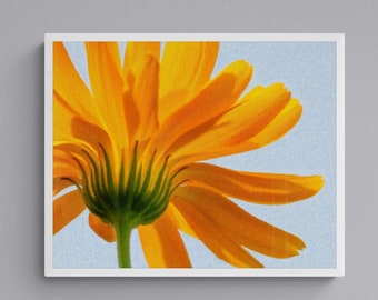 JO SAM, "Marigold Flower" (2022), Giclée Art Print, Multiple Sizes, Oil Painting, Living Room Wall Art, Wall Decor, Housewarming Gift