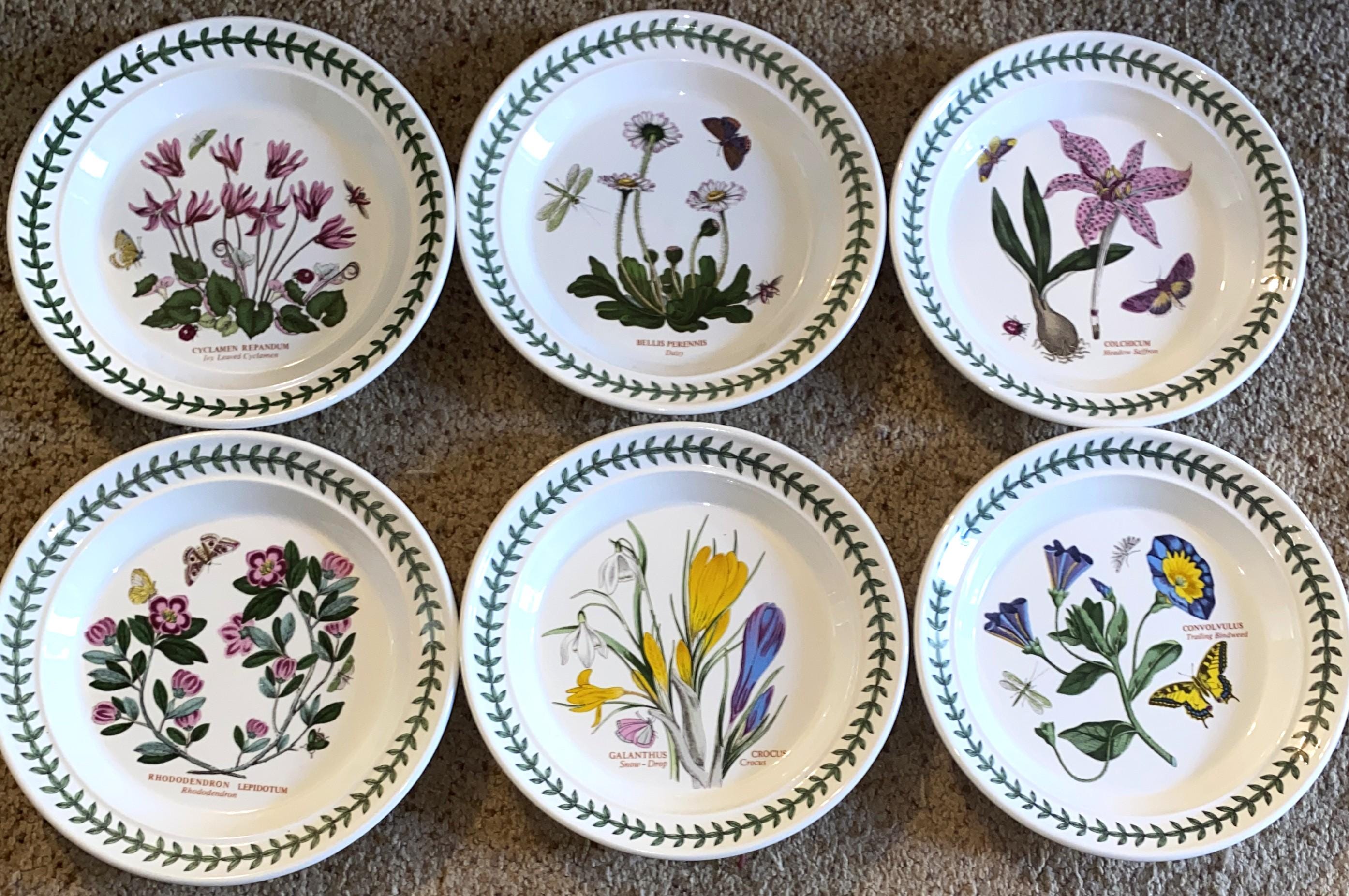 Portmeirion Botanic Garden - Etsy