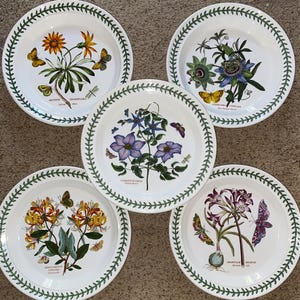 The Botanic Garden Circa 1818 - Etsy
