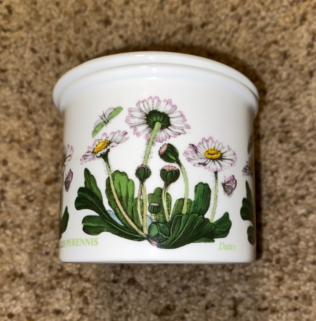 Portmeirion Botanic Garden Creamer & Sugar Bowl Set Etsy