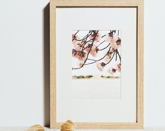 Printable Watercolor Wall Art // City Series: Washington, DC // Tidal Basin // Cherry Blossoms // Instant Digital Download