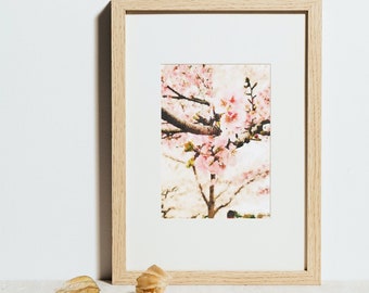 Printable Watercolor Wall Art // City Series: Washington, DC // Tidal Basin // Cherry Blossoms // Instant Digital Download