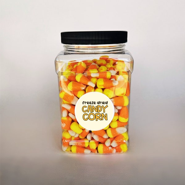 Freeze Dried Candy Corn | FREE Shipping | Freeze Dried Candy| 1.25 LB Container | Halloween Candy |