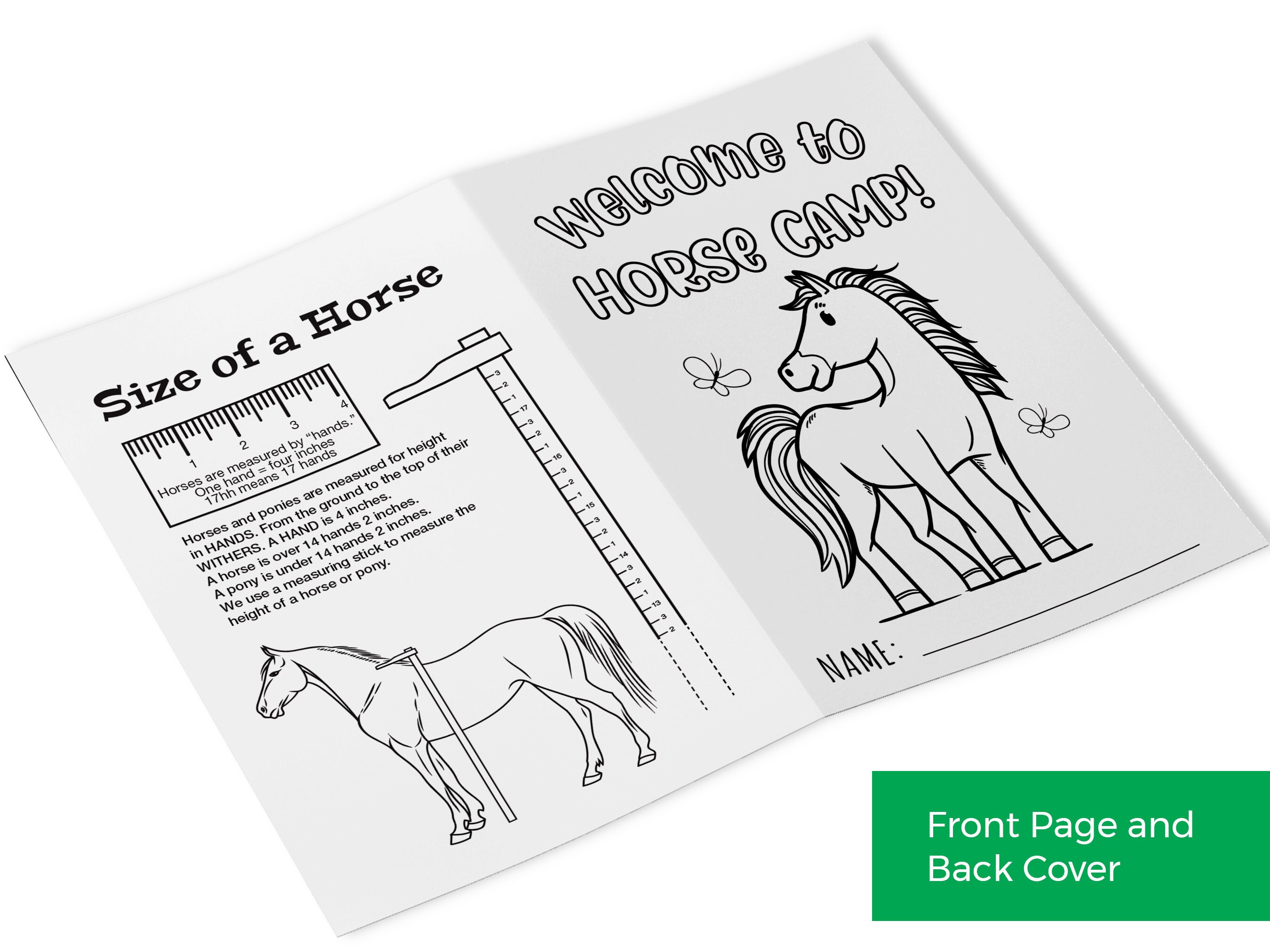 Horse Camp Pony Camp Coloring Activity Book PDF Digital Etsy