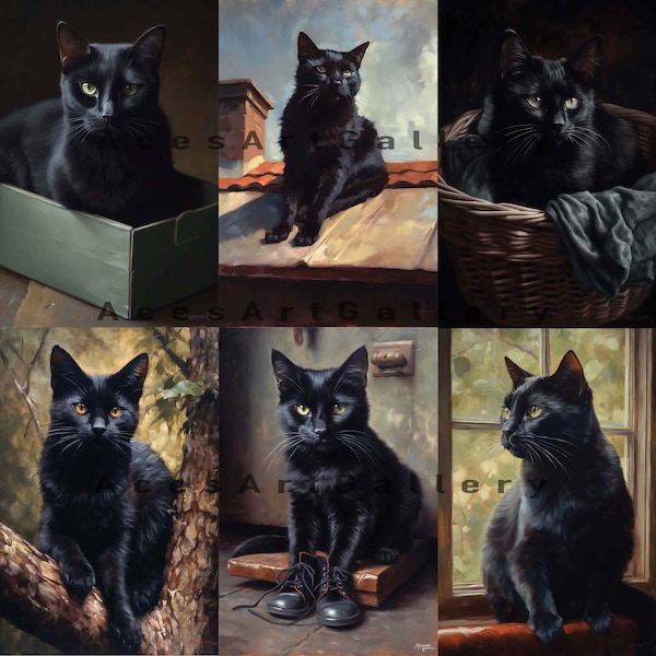 15 Black Cat Oil Paintings - Digital Download