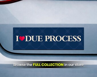 I Love Due Process, Pro Immigration, Deport Fascists Magnet - View #5