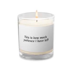 Funny Glass jar soy wax candle, Perfect Secret Santa Gift, Christmas Gift for Her or Gift for Him, Sarcastic Home Christmas Gift, Fun Gift