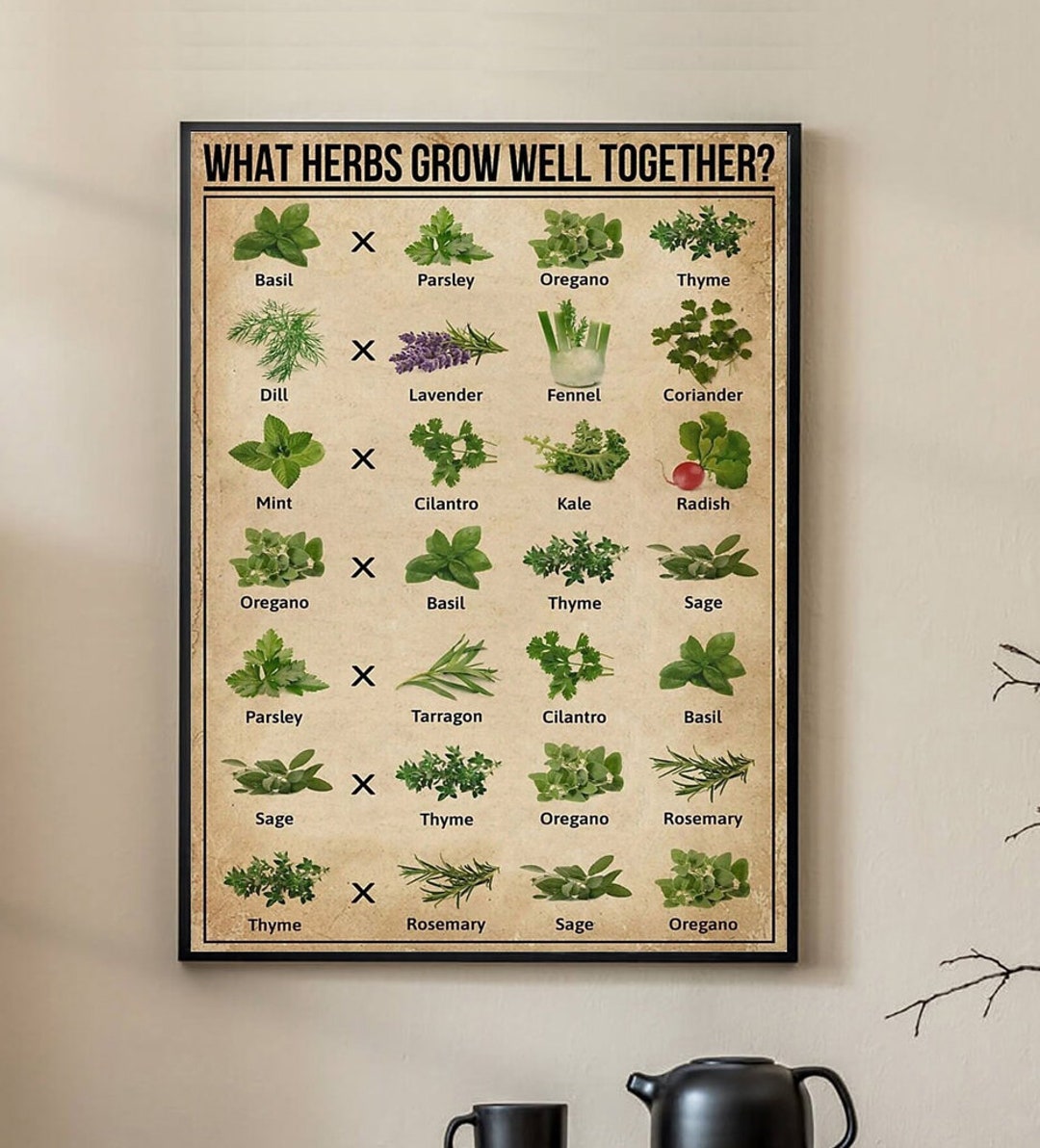 What Herbs Grow Well Together Poster Herbs Poster Plant Wall Etsy