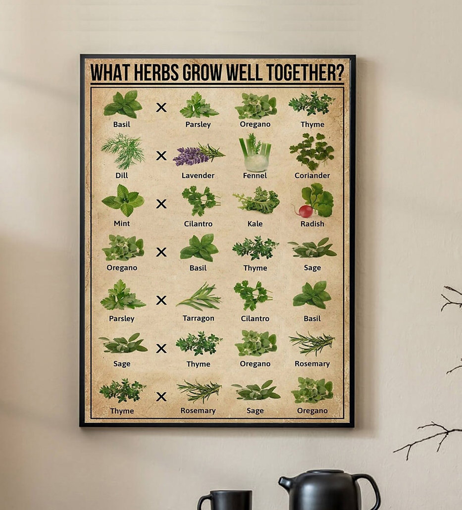 What Herbs Grow Well Together Poster, Herbs Poster, Plant Wall Decor, Wall  Art, Poster 11.33x17 Inches - Etsy