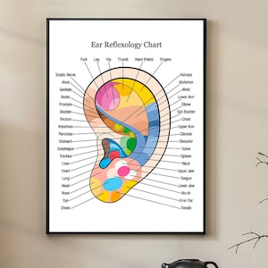 May include: Ear Reflexology Chart poster, showing a detailed diagram of the ear with reflexology points and body parts labelled. The poster is in a black frame and is set against a neutral background.