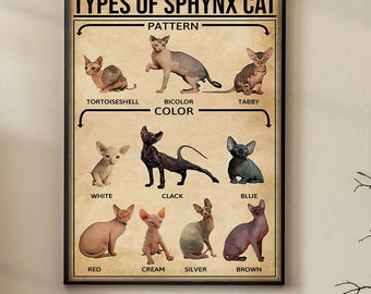 May include: A framed poster displaying various types of Sphynx cats, categorized by pattern and color. The poster features images of cats labeled Tortoiseshell, Bicolor, Tabby, White, Clack, Blue, Red, Cream, Silver, and Brown. The text "TYPES OF SPHYNX CAT" is at the top.