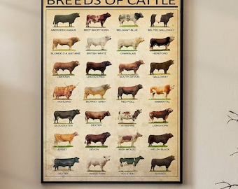 Breeds Of Beef Cattle Poster, Cow Breeds Poster, Wall Art Decor, Wall Art