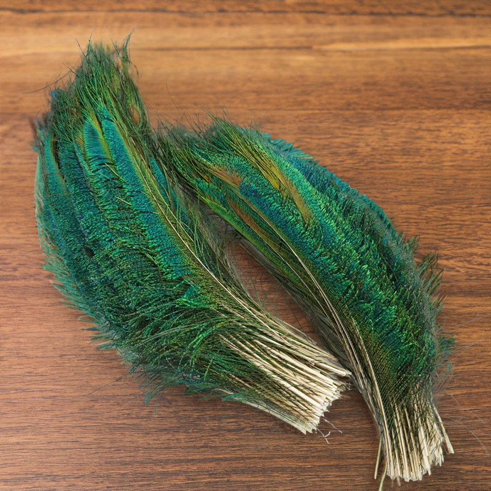 200 Pieces - 10-12 Natural Iridescent Green Peacock Tail Eye Wholesale  Feathers (Bulk)