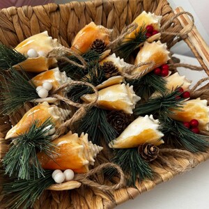 May include: A collection of seashell ornaments decorated with pine sprigs, pine cones, and red berries. The ornaments are arranged in a woven basket.