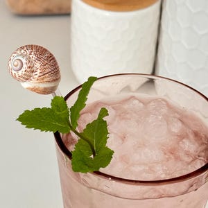 May include: A pink glass with ice and a pink drink. A sprig of mint and a seashell on a stick are in the drink.