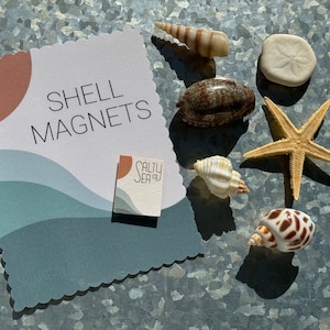 May include: A set of shell magnets with a card that says "Shell Magnets" and a logo that says "Salty Sea Co.". The shells are various colors and shapes, including a starfish, a sand dollar, and a conch shell.