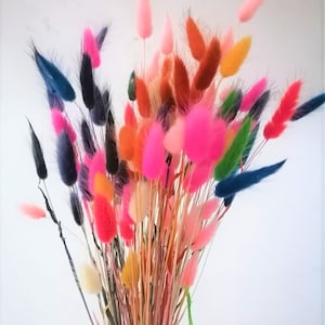 60 Stems Mixed Color Bunny Tails - Dried Lagurus Grass for Boho Wedding, Home Decor, Rustic Floral Arrangements & DIY Crafts