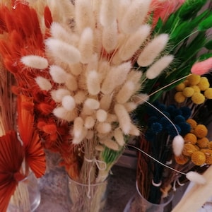 85 Stems Natural Dried Bunny Tails - Fluffy Lagurus Grass Bunch for Boho Wedding, Rustic Floral Decor, DIY Craft & Home Decoration
