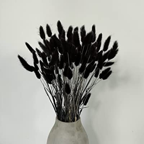 Black Dried Flowers Etsy
