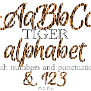 Tiger Print Letters PNG, Wild Animal Print Alphabet Lettering, PNG Letters, Tiger Letters for Sublimation, Tiger T-shirt Design, Script
