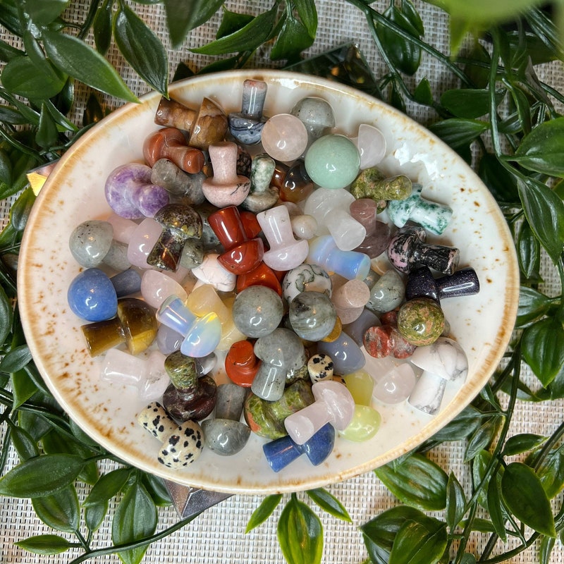 Mini Mushrooms - Etsy