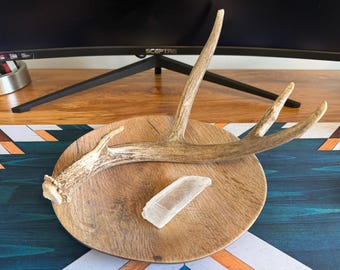 Cornamenta de ciervo auténtica / Decoración rústica de cabaña / Detalle de hueso natural / Estilo western