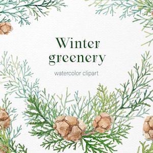 Aquarelle Clipart d’hiver Clipart de Noël Verdure de Noël avec branches à feuilles persistantes émeraude et pommes de pin Licence commerciale