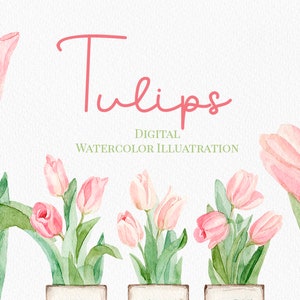 Watercolor tulips PNG Farmhouse floral clipart Sublimation design Gardening Spring clipart potted plants Commercial licence