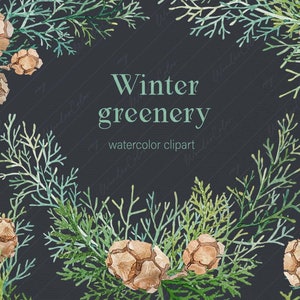 Aquarelle Clipart d’hiver Clipart de Noël Verdure de Noël avec branches à feuilles persistantes émeraude et pommes de pin Licence commerciale