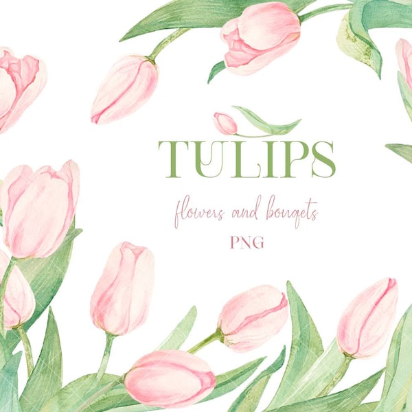 Watercolor Tulips clipart Flowers, bouquets PNG Floral clipart Spring Wedding invitation Girl Baby shower Bridal clipart Commercial use