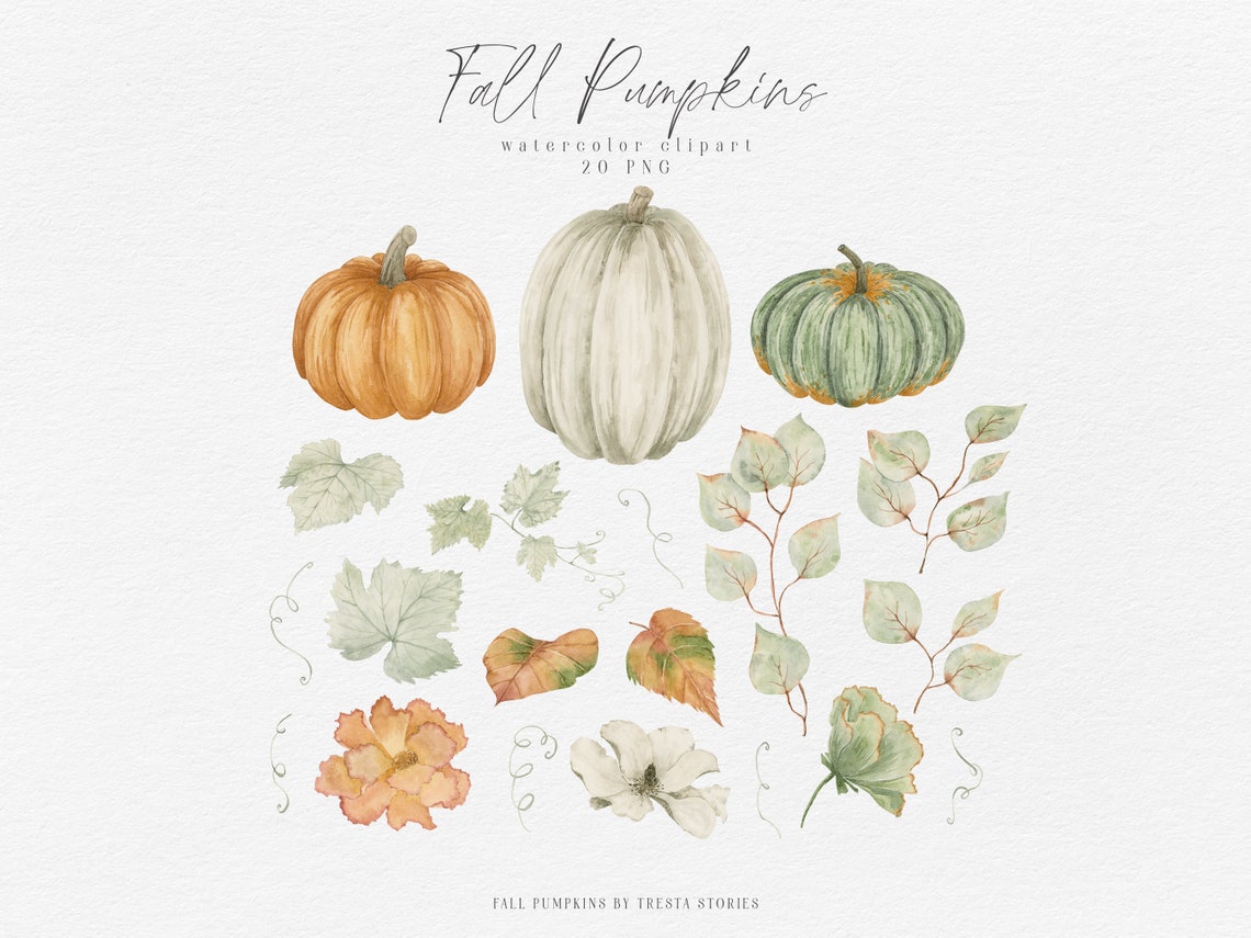 Watercolor Pumpkin Clipart Fall Pumpkin Png Autumn Wedding - Etsy