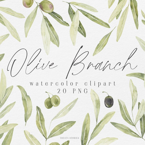 Watercolor olive branch collection, greenery clipart set, olive leaves instant download