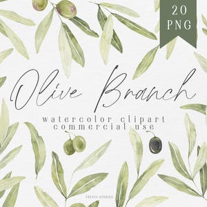 Raccolta di rami di ulivo ad acquerello, set di clipart di vegetazione, download immediato di foglie di ulivo