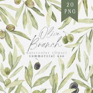 Watercolor olive branch collection, greenery clipart set, olive leaves instant download